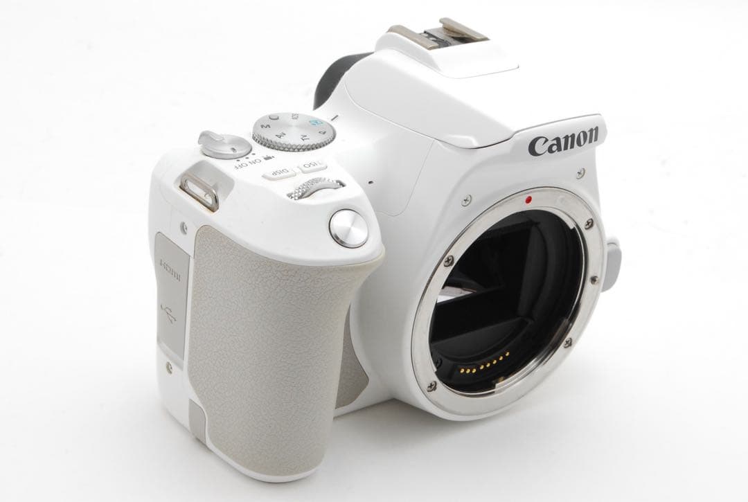 うさちゃん美品❣️Canon EOS 200DII (kiss X10)