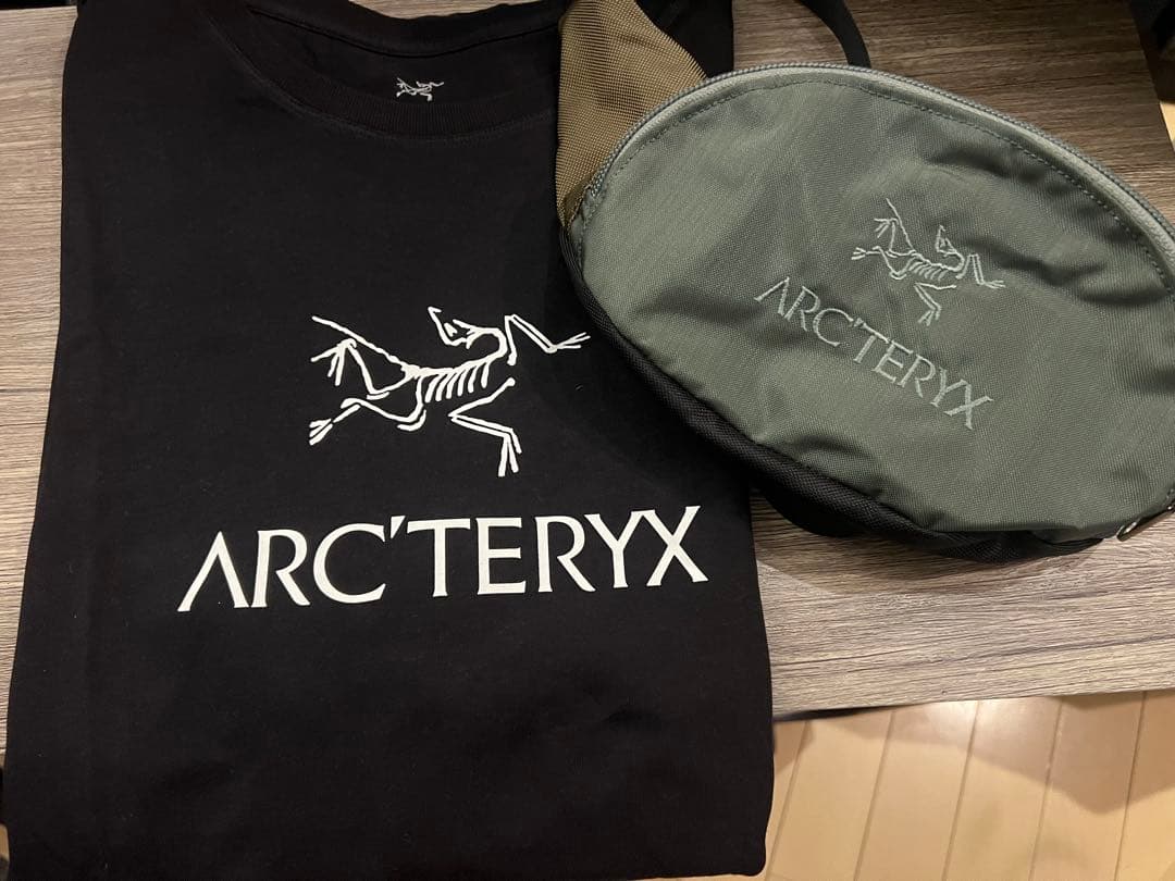 ARC'TERYX アークテリクス アーバンファニー M Tシャツ ２点セット