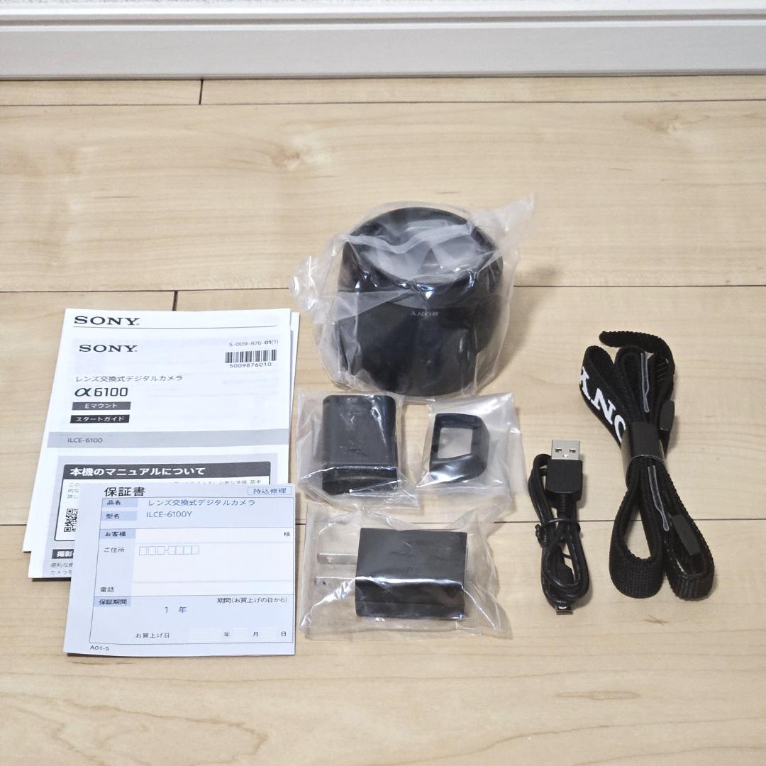 ILCE-6100Y 新品級 保証有 未使用 SONY α6100 ダブルズーム
