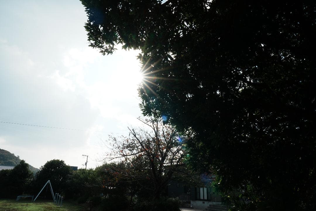 プロが愛用◆SEL24105G◆これ1本で全て撮れる万能レンズ SONY