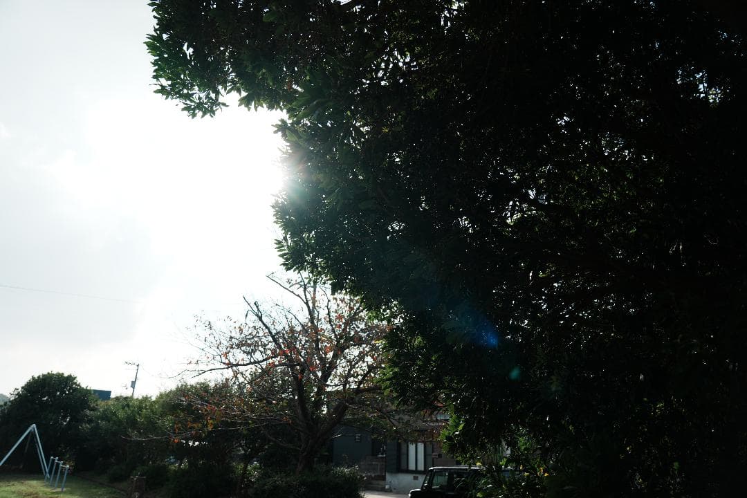 プロが愛用◆SEL24105G◆これ1本で全て撮れる万能レンズ SONY