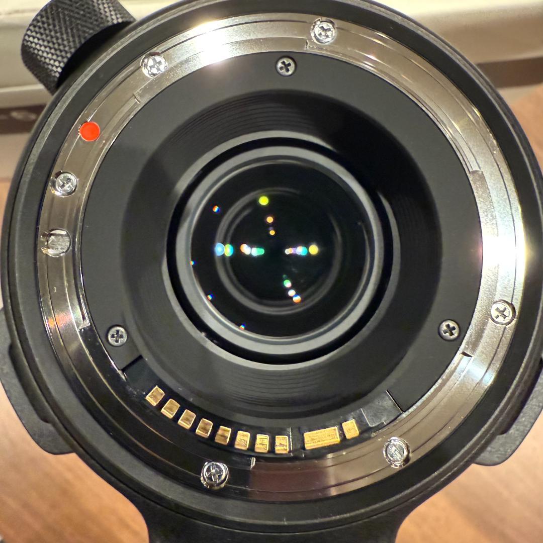 SIGMA 60-600mm F4.5-6.3 DG OS HSM EFマウント