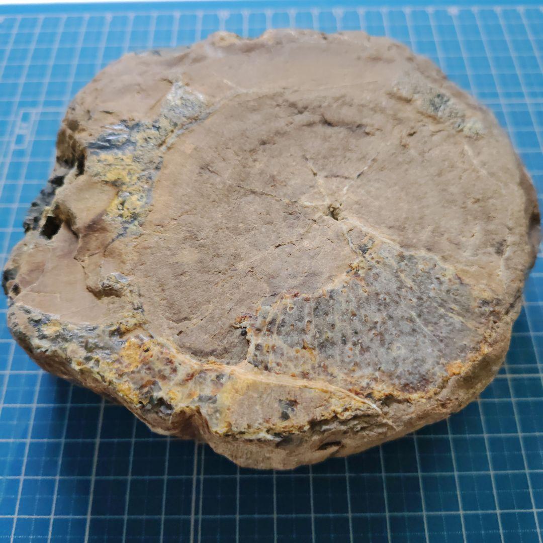 多彩な色の自然石（津軽錦石）原石、管理Ｎｏ．71238台除く