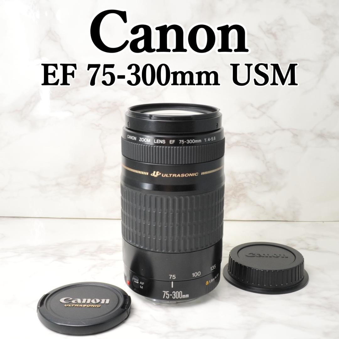 望遠レンズ⭐️Canon EF 75-300mm F4-5.6 USM