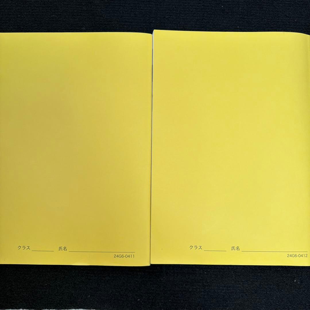 鉄緑会 高3 化学発展講座テキスト 上巻&下巻