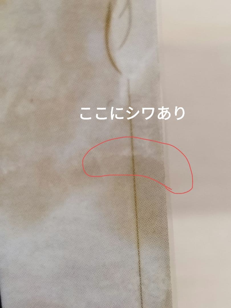 ポケモンスタンプ スタジアム ポケモンだいすきクラブ 非売品　最終値下げ