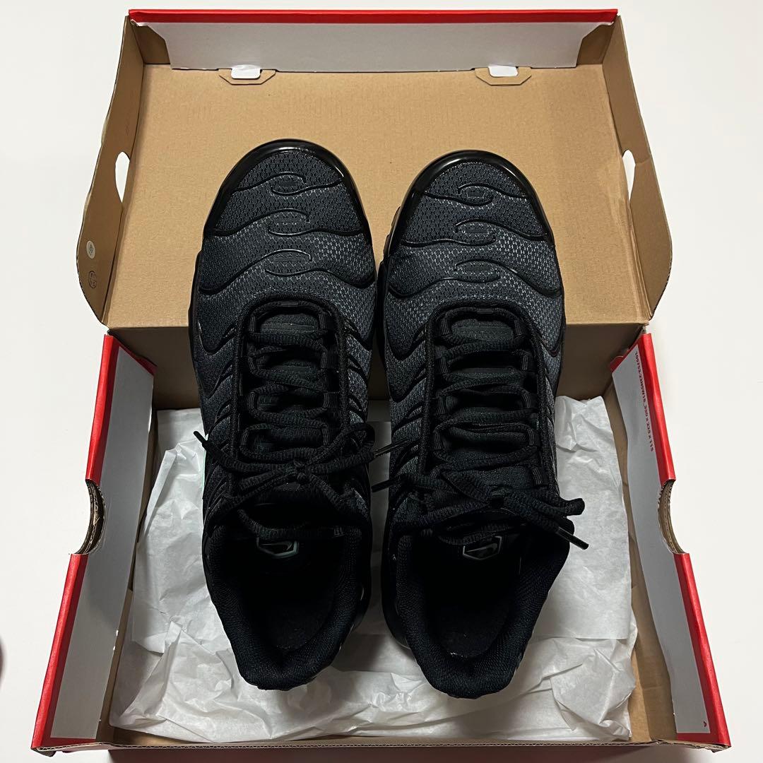 NIKE AIR MAX PLUS BLACK/MINT 28センチ