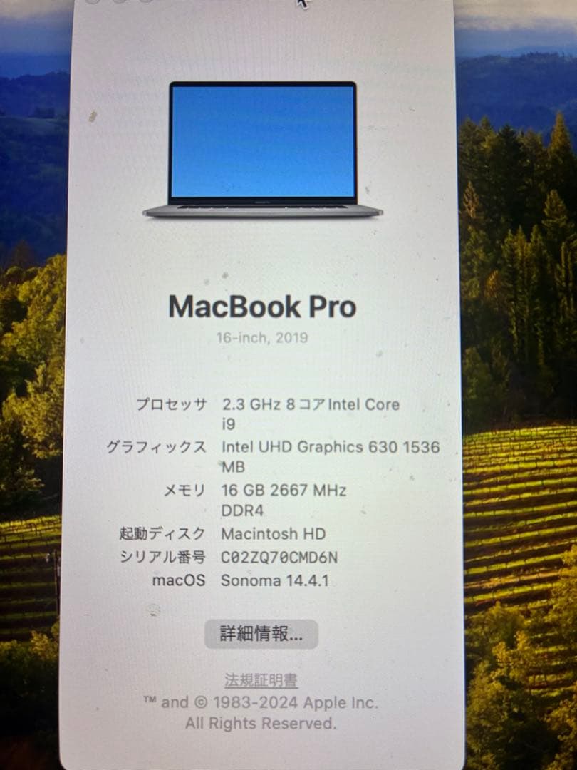 Apple MacBook Pro 2019 ジャンク　画面不具合　16インチ