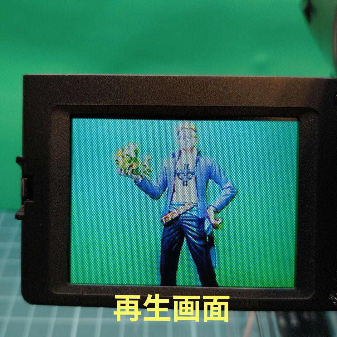 【動作確認済】SONY ソニー CCD-TRV80 video Hi8