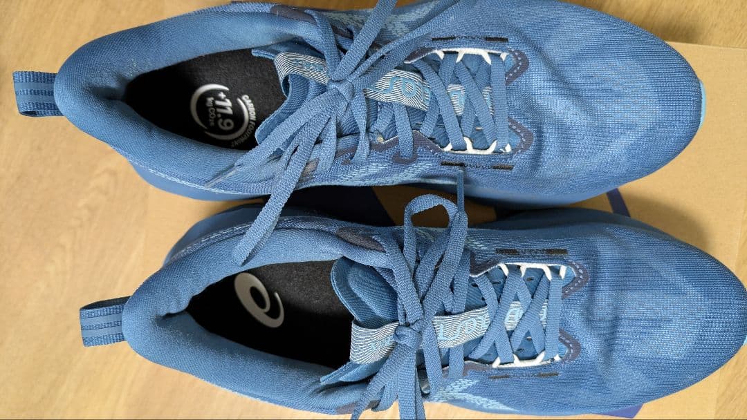 ASICS NOVABRAST5／アシックス ノヴァブラスト5 27.5