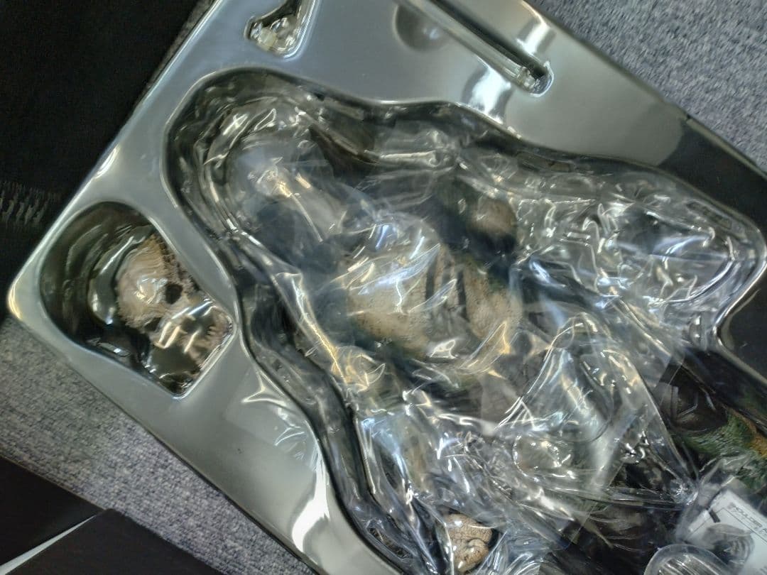 HOT TOYS ムービー・マスターピースMMS137 ファルコナー プレデター