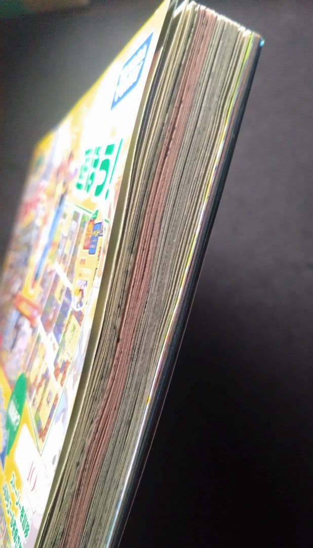 普*.様 ポケモンワンダーランド⑨　ダークライ　promo ジャンボカード