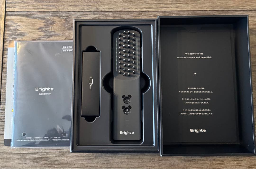 ELEKI BRUSH＋ ミッキー　エレキブラシプラス 動作確認済・説明書付