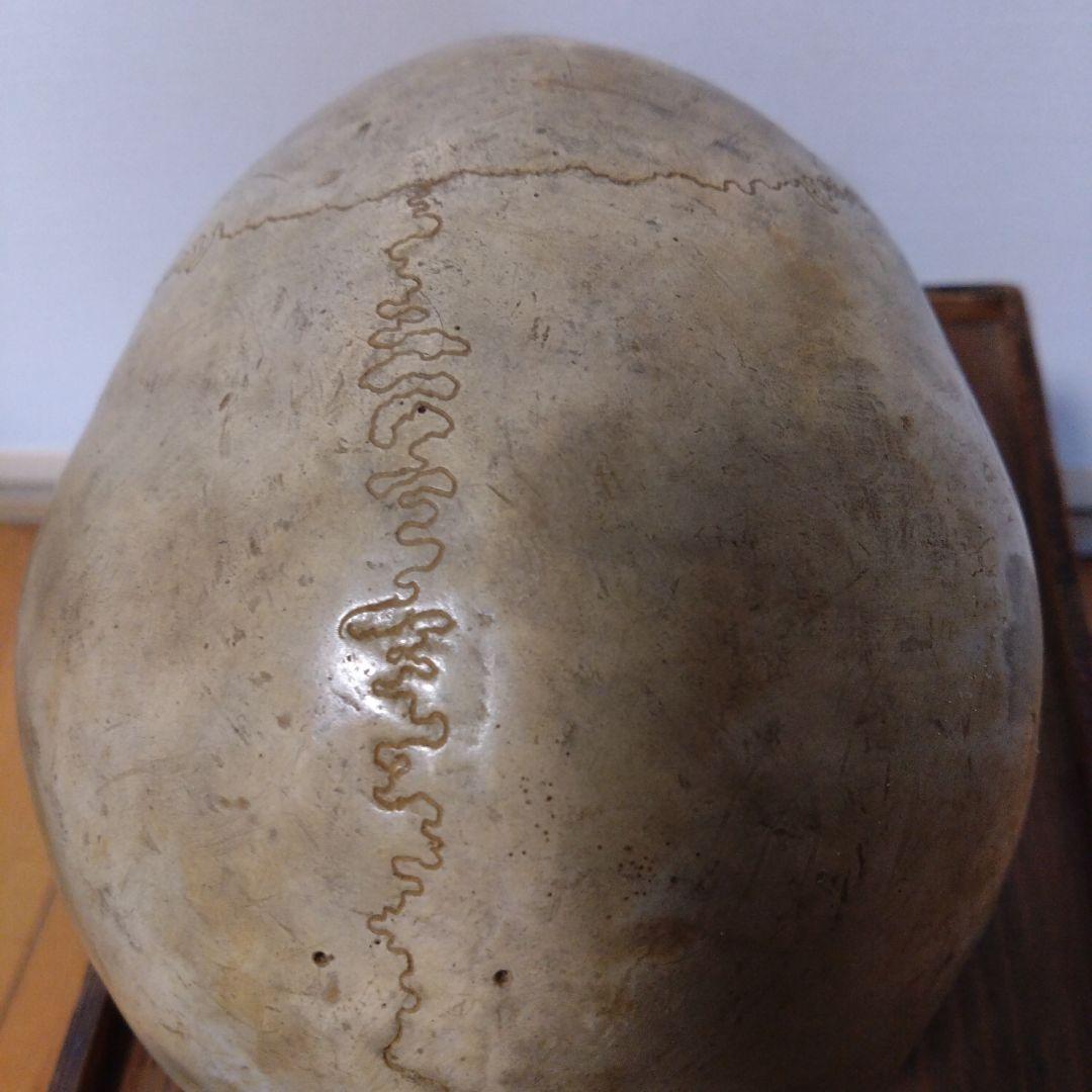 レトロな木箱入　頭蓋骨　　模型　田中狐峯製品