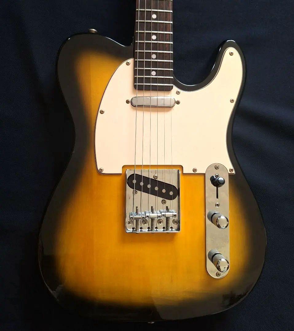 LEGEND テレキャスター タイプ 2TS フェンダーヘッド ソフトケース