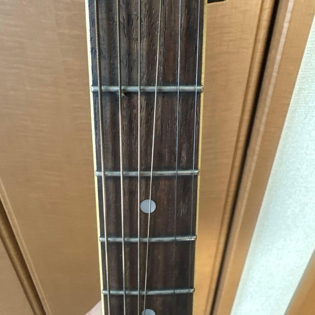 Epiphone EO-2 / B エレアコ