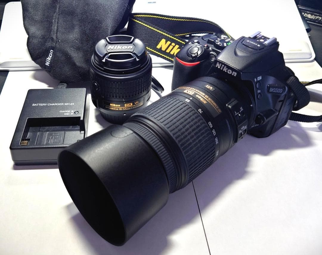 初心者用に最高 Nikon 一眼レフ D5500 レンズ2本で広角から望遠まで