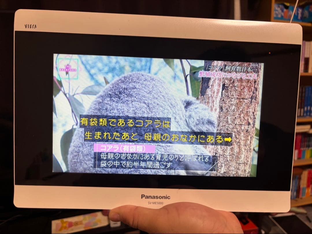 Panasonic VIERA ポータブルテレビ sv-me5000