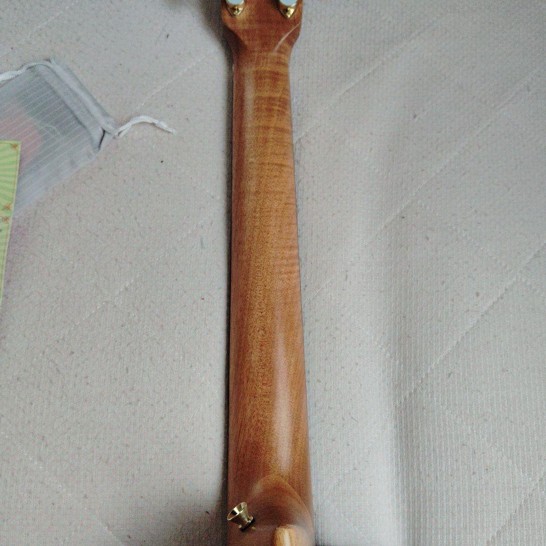 aNueNue （アヌエヌエ）M30　トップ単板、オールアカシアギター