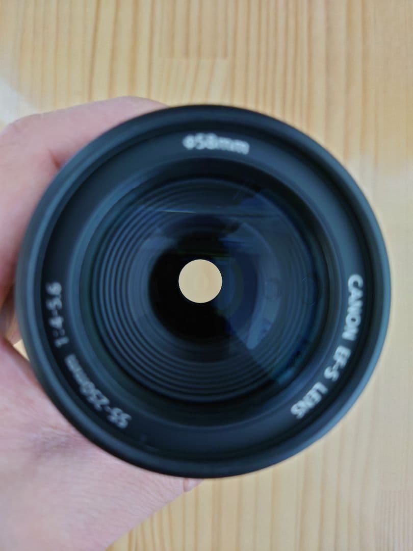 ★美品★ Canon キャノン 55-250mm EF-S F4-5.6 IS