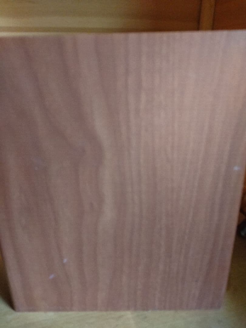 EDIROL MA-20D デジタルスピーカー