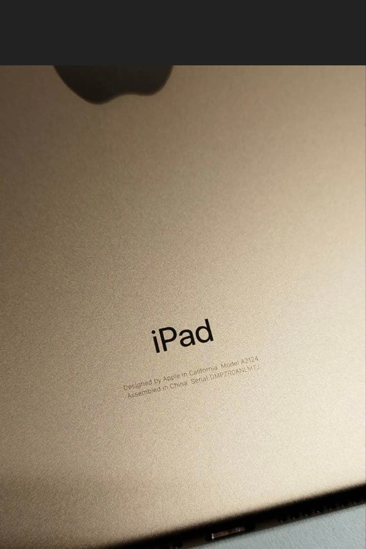 t*a様 良品iPad mini 5 WiFi+cellular256GB SI