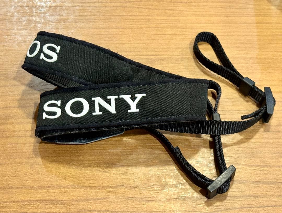 Sony α6000 ミラーレス一眼 APS-C ブラック ボディ