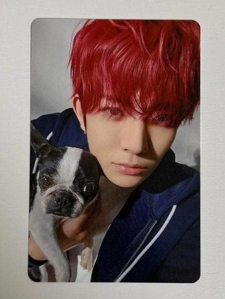 ENHYPEN 2025会報 アンケート 限定 トレカ ヒスン