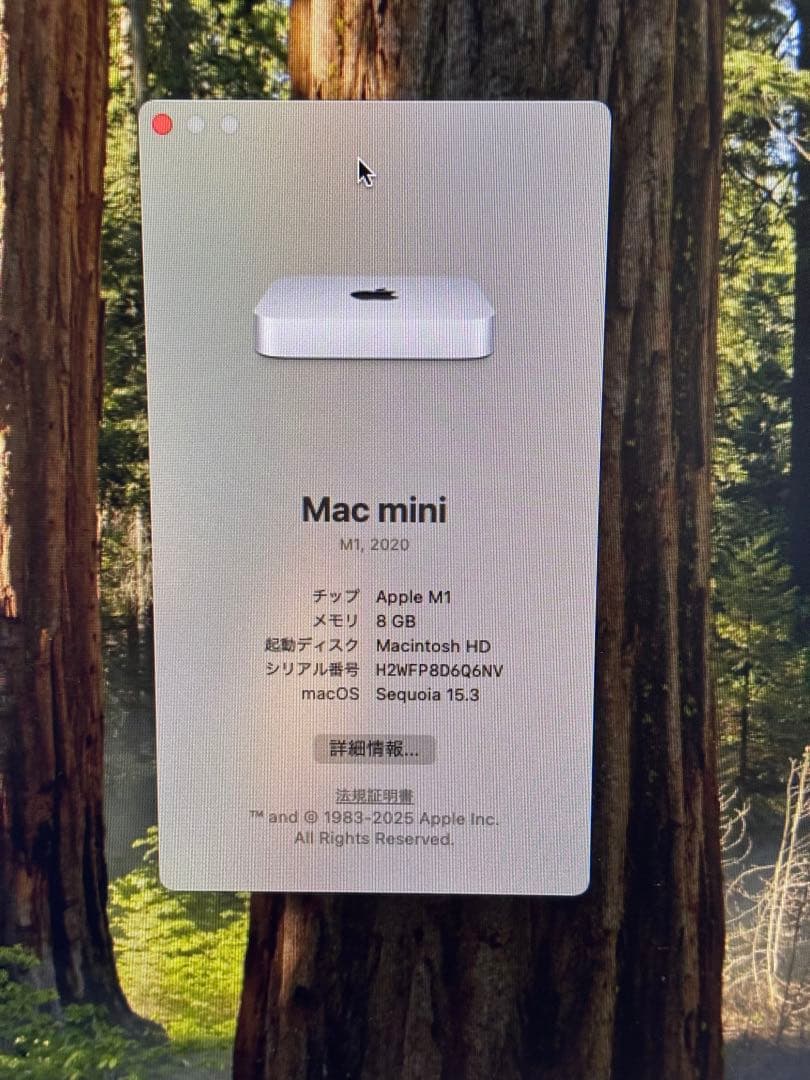 Apple Mac mini (M1, 2020) 8GB 256GB シルバー