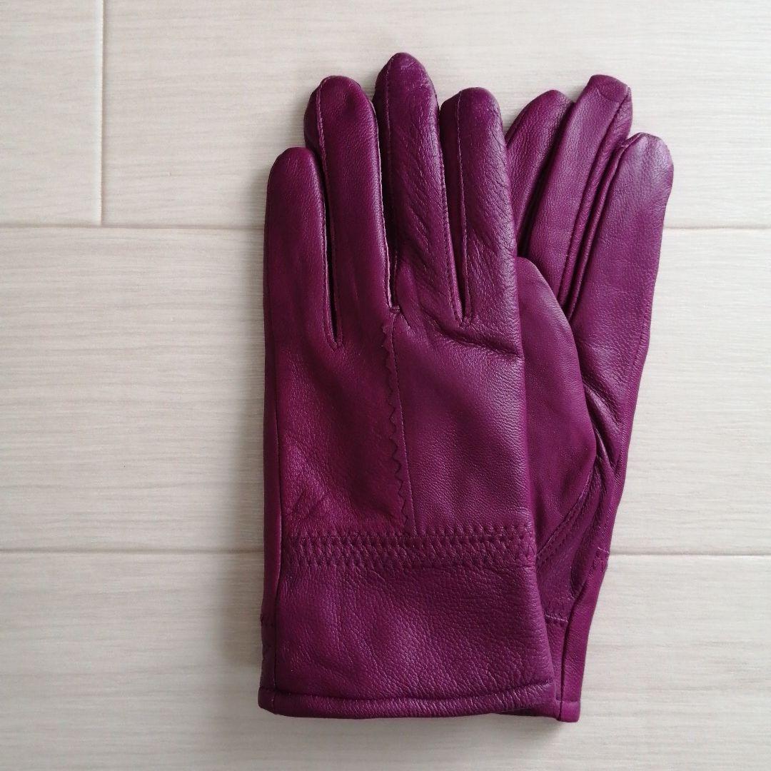 アブサン⭐Panasonic衣類スチーマー+本革グローブ