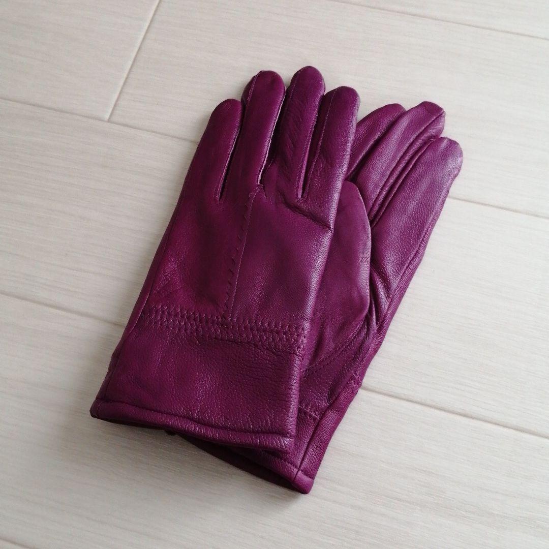 アブサン⭐Panasonic衣類スチーマー+本革グローブ