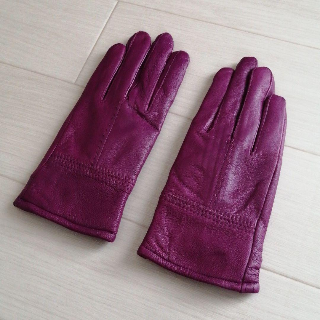 アブサン⭐Panasonic衣類スチーマー+本革グローブ