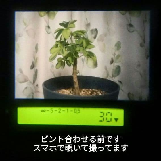 CONTAX G1 フィルムカメラ