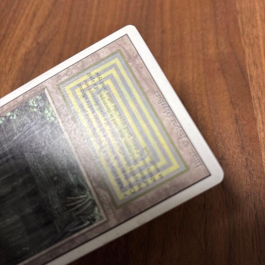 Bayou マジック：ザ・ギャザリング 土地カード