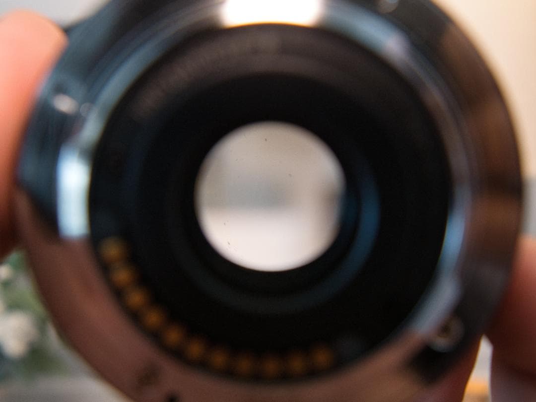 デジタルカメラ OM-D E-M5 Mark II + LEICA LUMIX 15mmF1.7