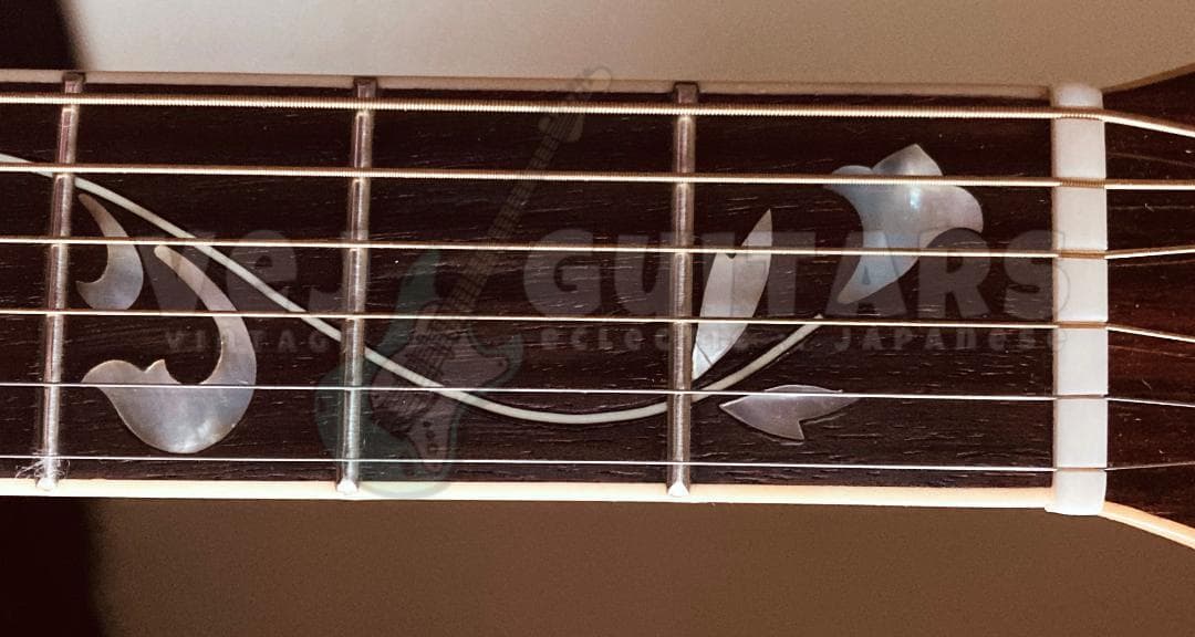 ギター TREE of LIFE* JAGARD TERADA MT-400P 1974