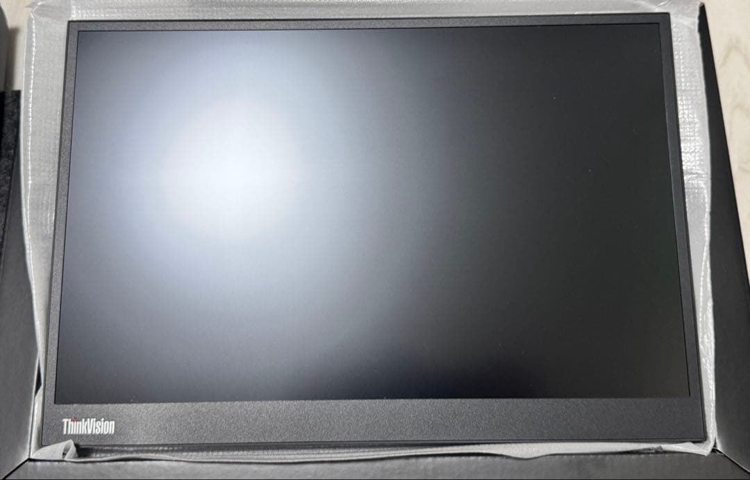 Lenovo ThinkVision M14d 保証付美品
