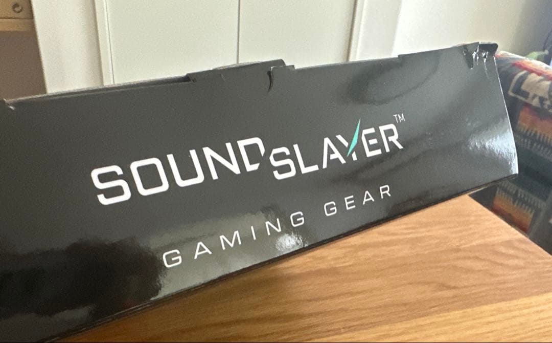 Panasonic ネックスピーカーシステム　SC-GNW10