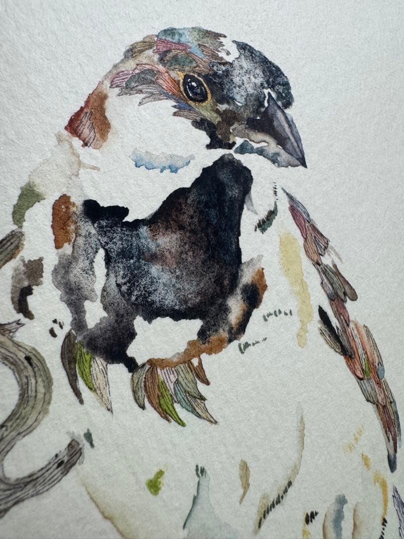 雀 すずめ 額装付き 原画