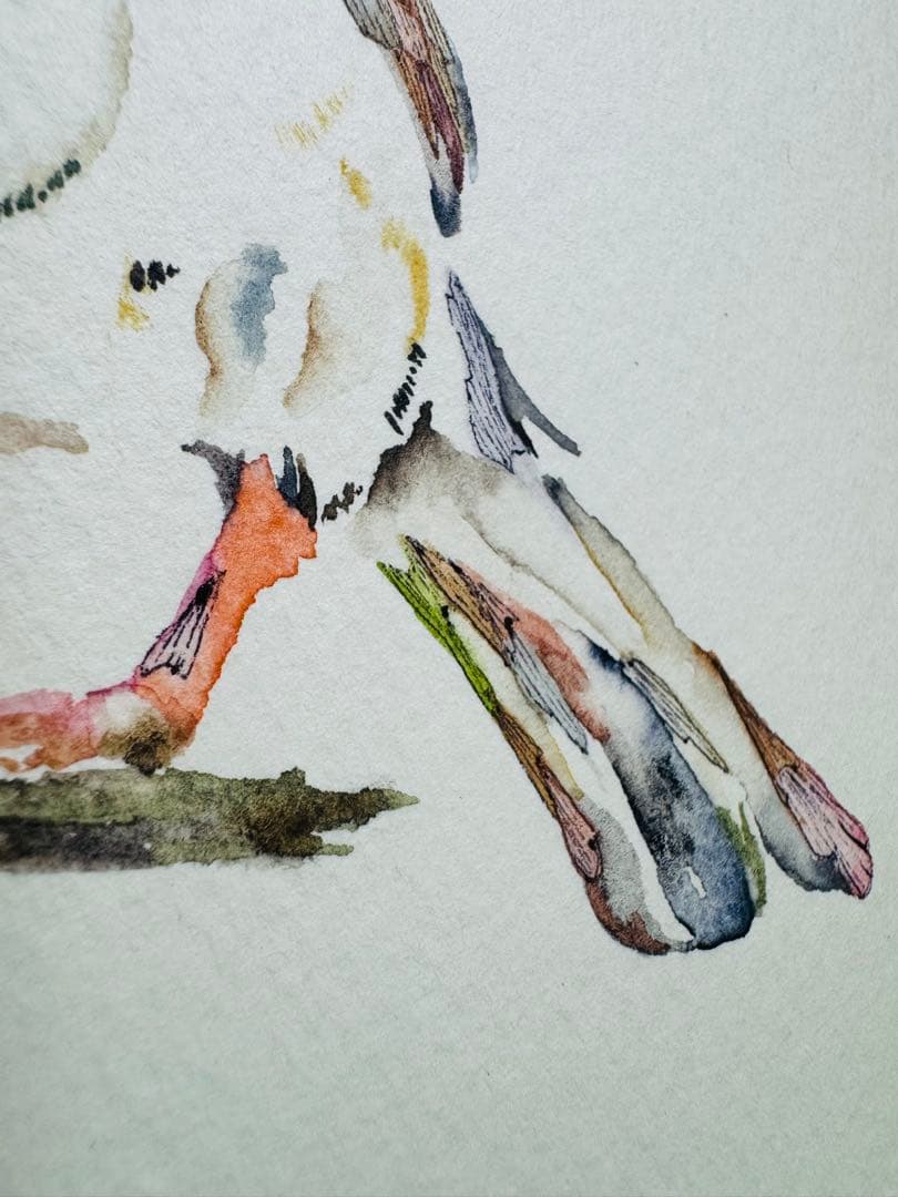 雀 すずめ 額装付き 原画