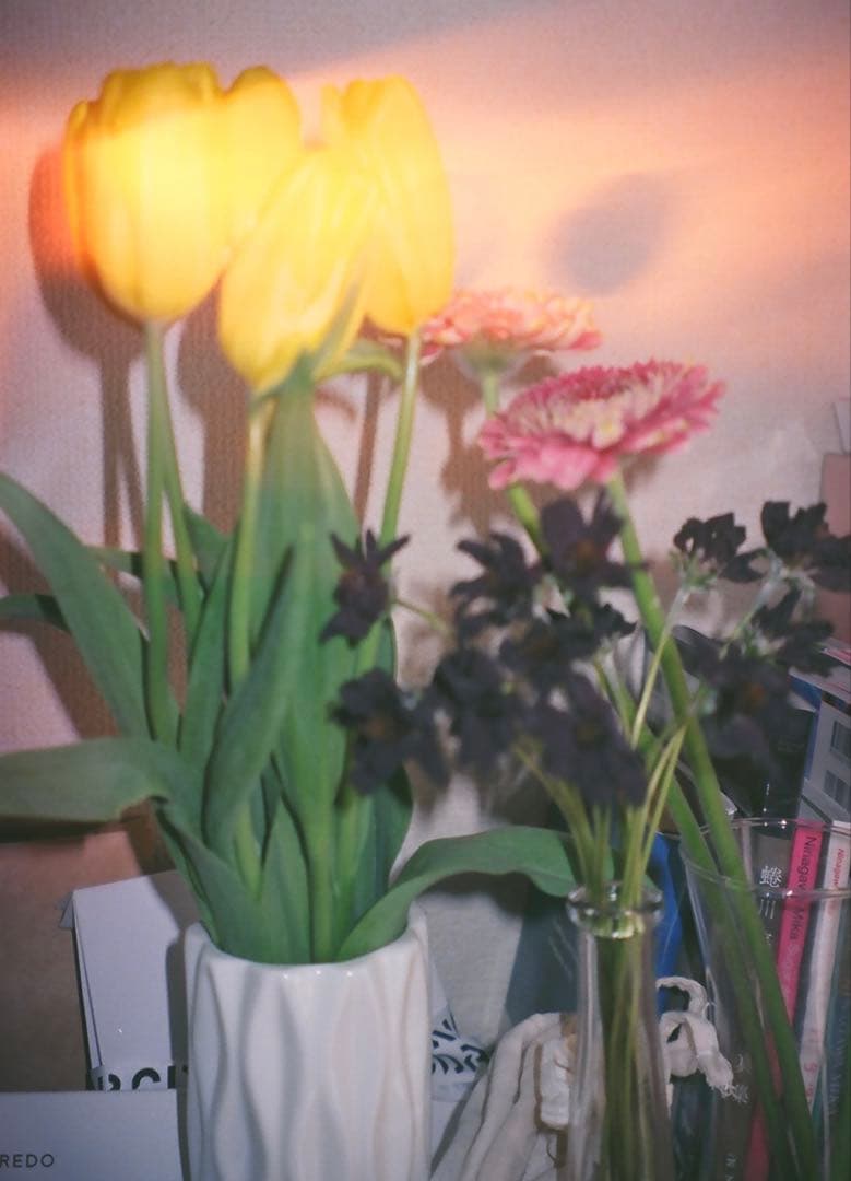 leica minilux フィルムカメラ E02