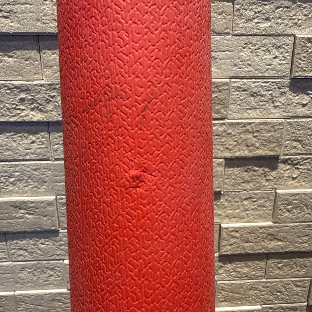 ビヨンドマックスEV ⅡN