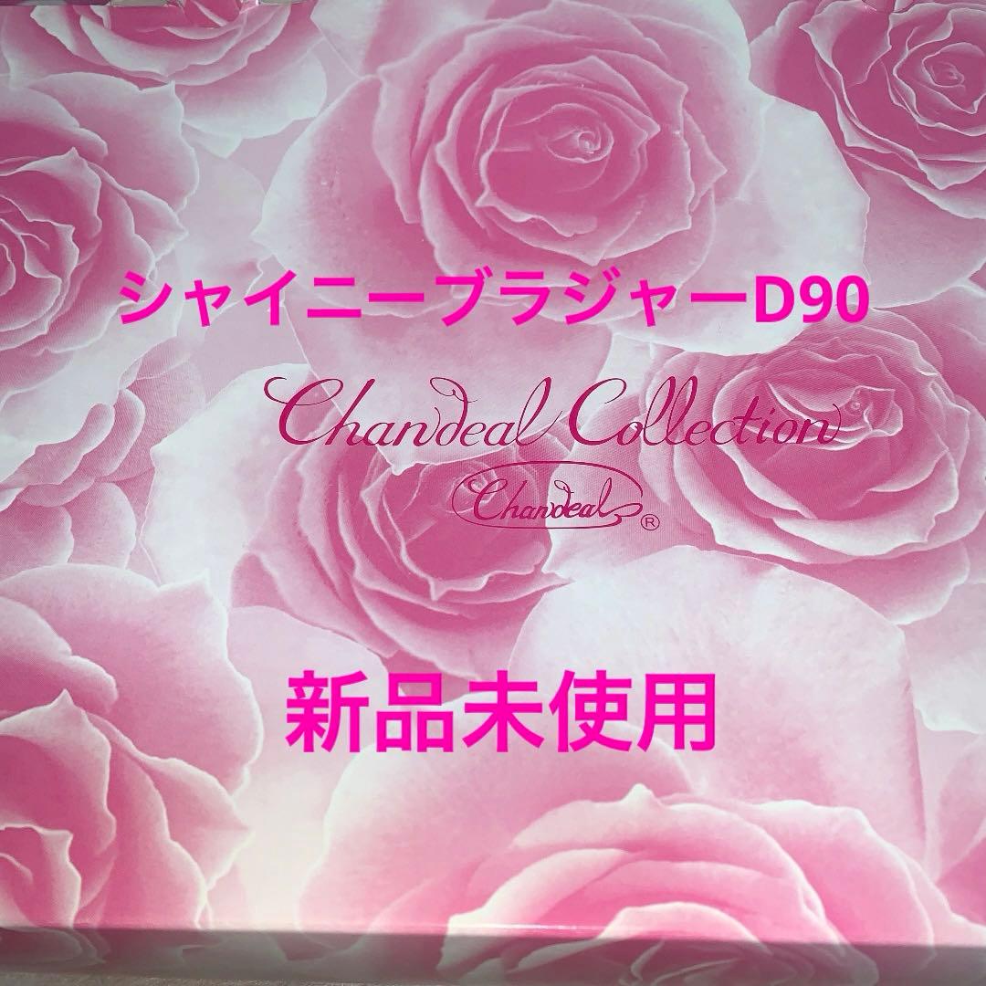 シャンデールクールシャイニーD90新品未使用