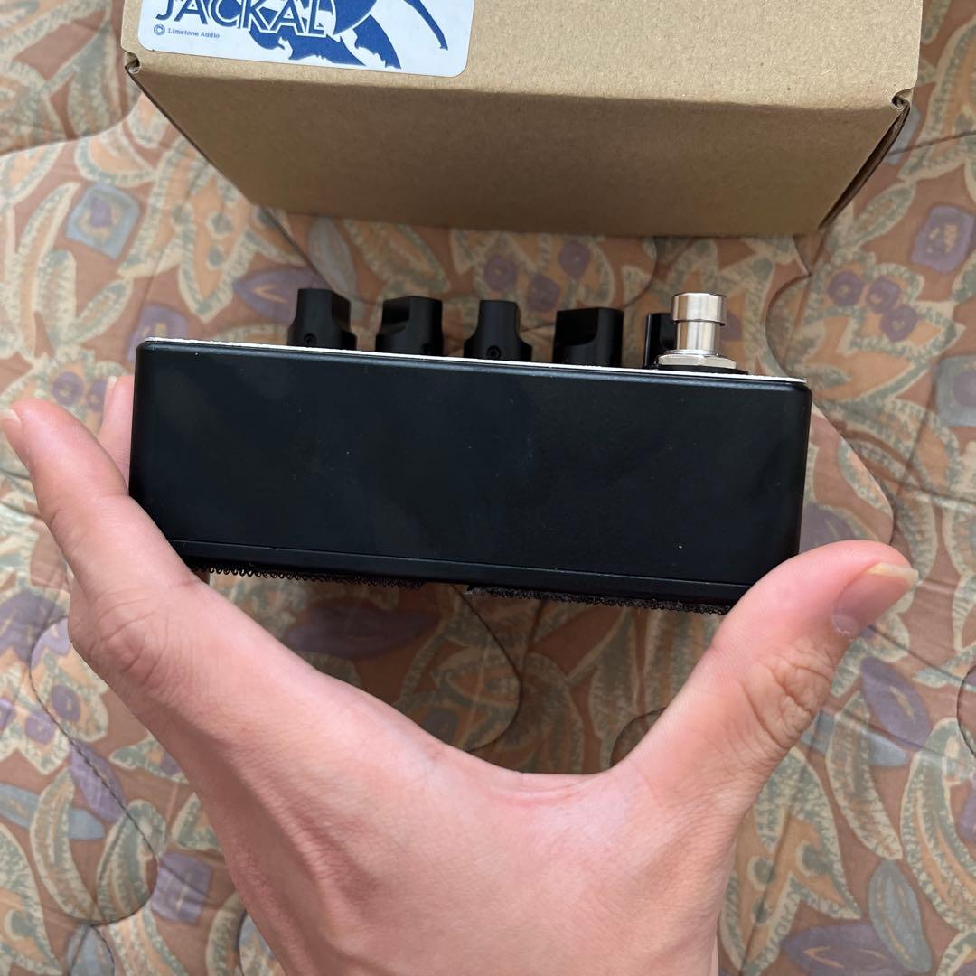 美品　 ジャッカル イシバシ楽器限定カラー 箱付