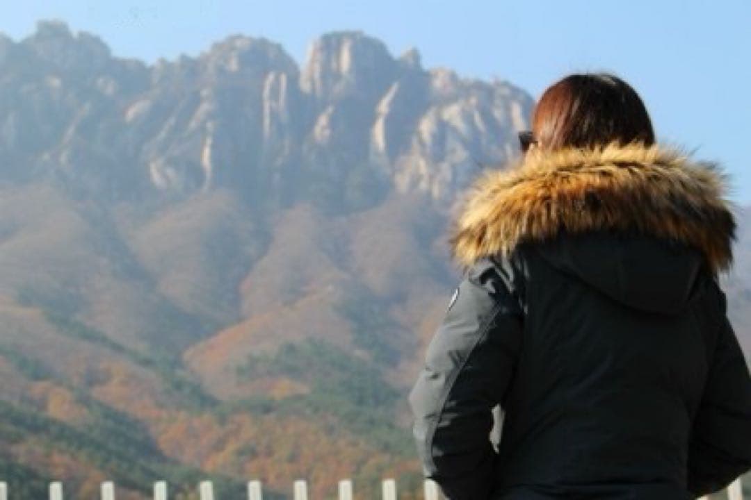 美品希少 THE NORTH FACE KARA ダウンコート レディースM