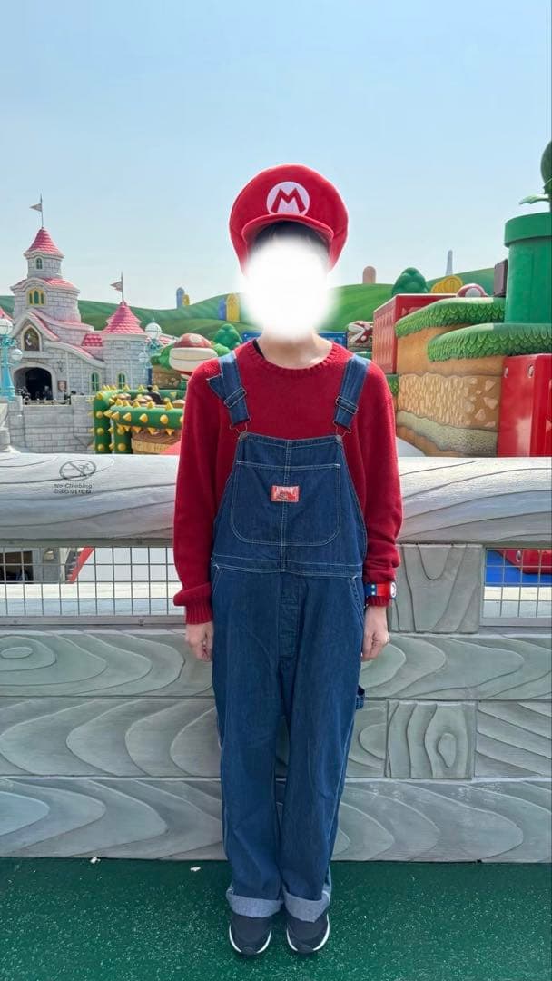 【セットでのバラ売り相談可】USJ マリオ　ルイージ なりきりコーデセット