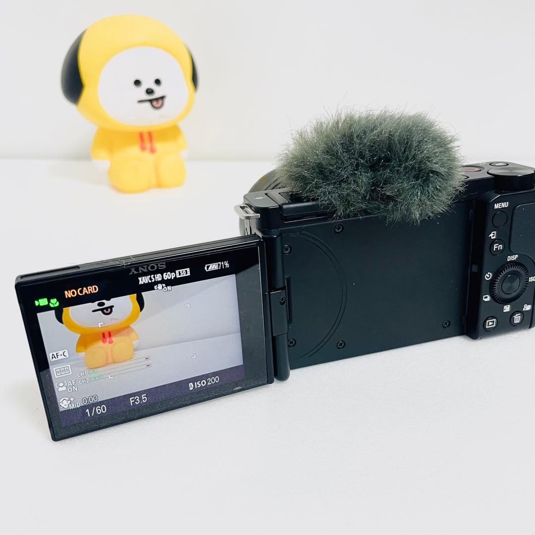 【美品】SONY ソニー ZV-E10 ブラック 黒 Vlog カメラ