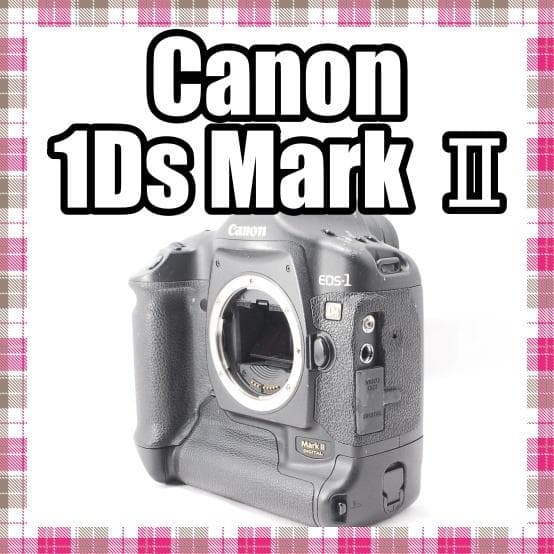 ✨状態並✨お買い得価格✨Canon EOS-1Ds Mark Ⅱ ボディ