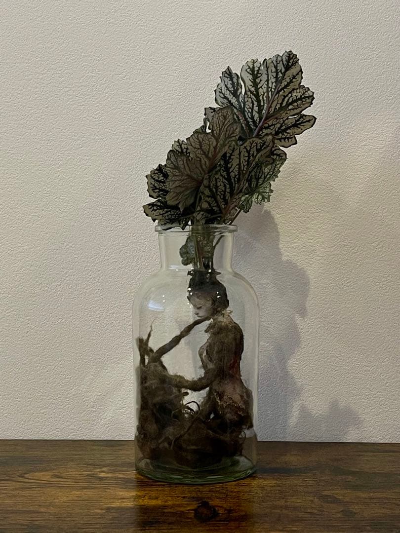 創作人形・ウーマンドレイクの標本「根を持つ者」