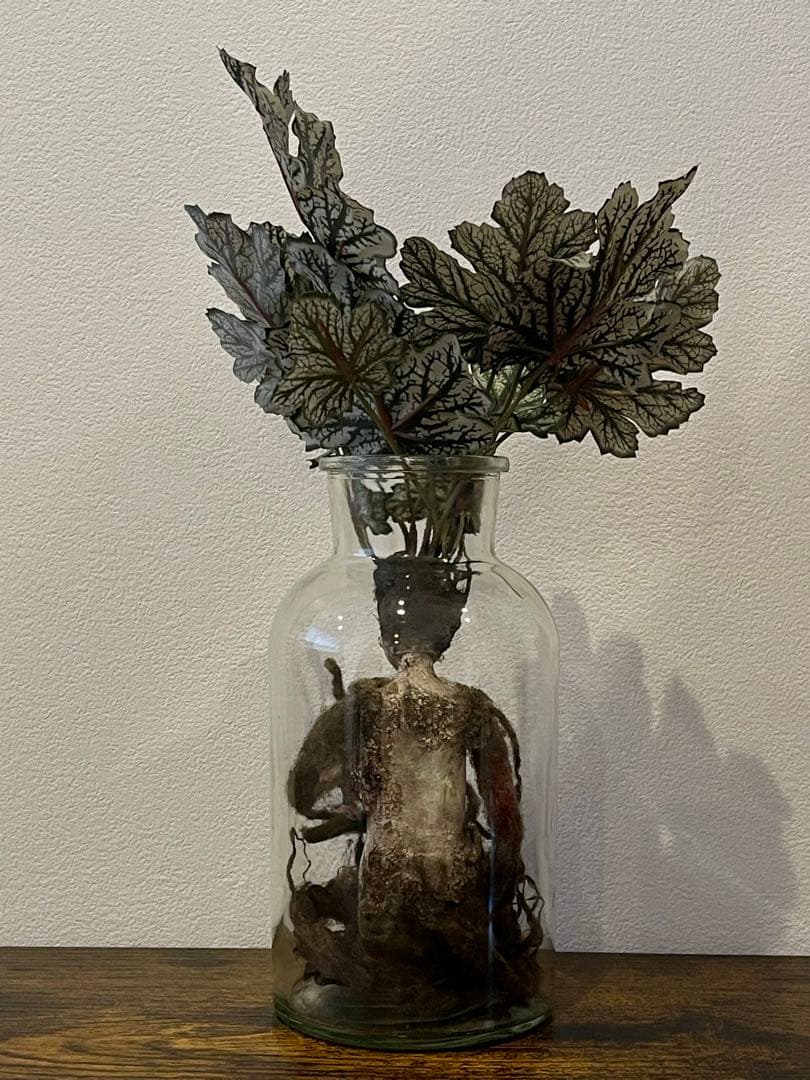 創作人形・ウーマンドレイクの標本「根を持つ者」